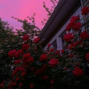 Meet your Posher, Dashay